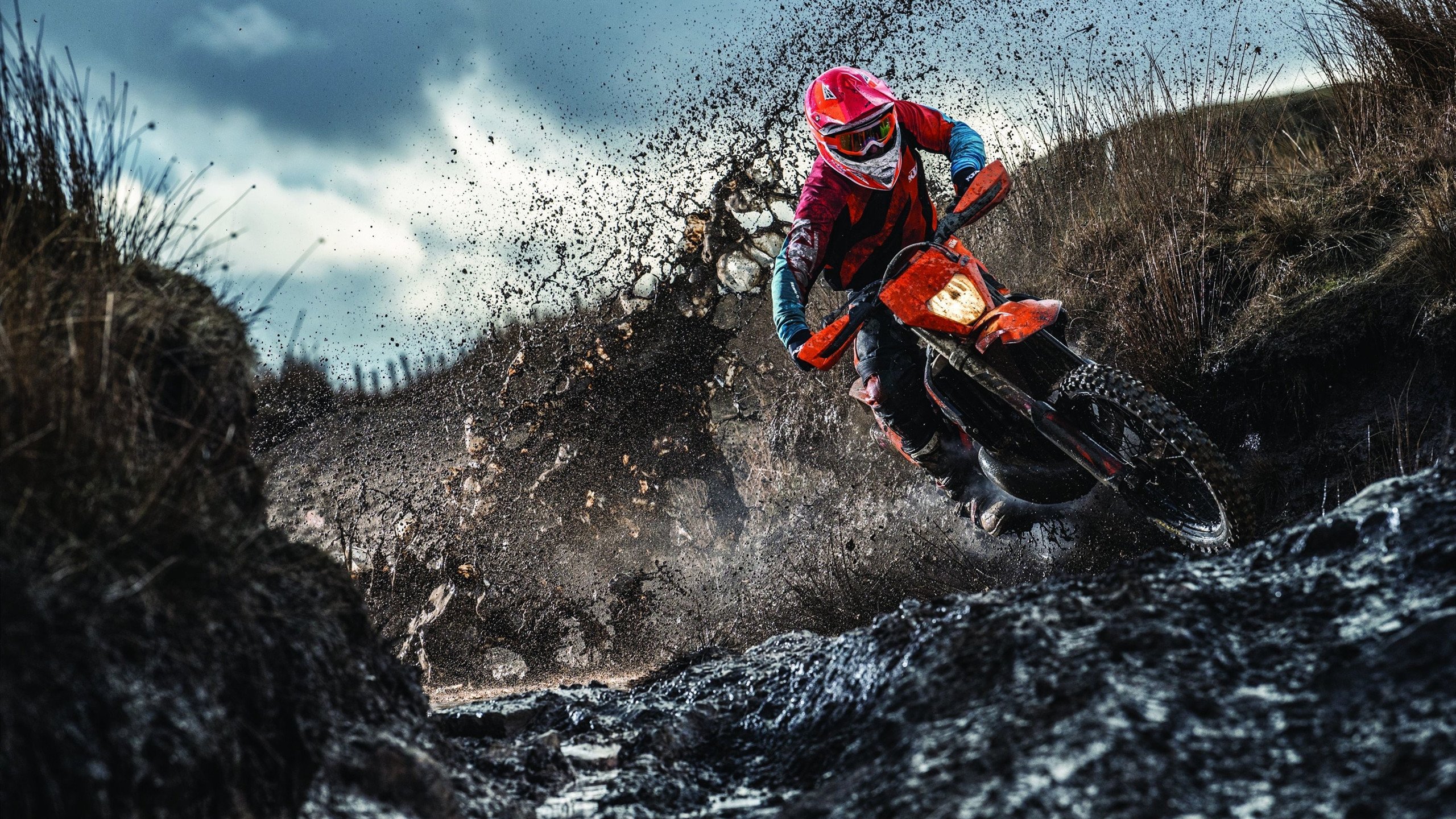 足球场上的闪电与山脉，莱奥爆发与奥地利稳稳拿下贝蒂斯